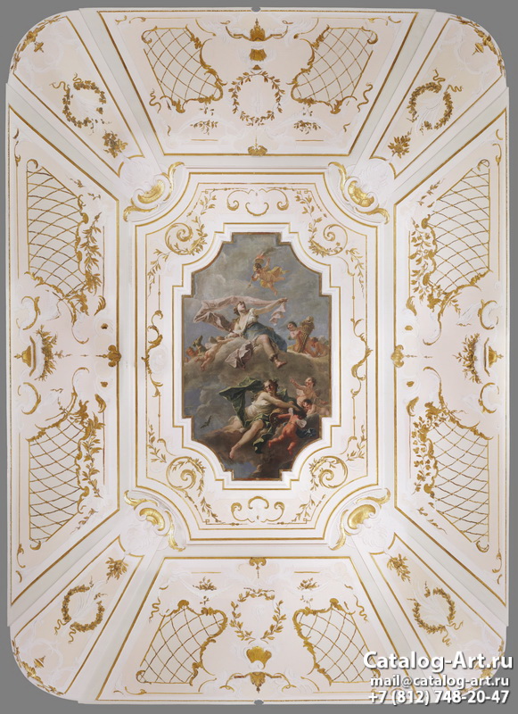 Palace ceilings 5